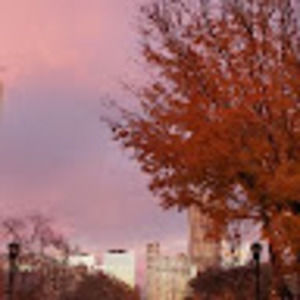 Meet your Posher, Kasfia